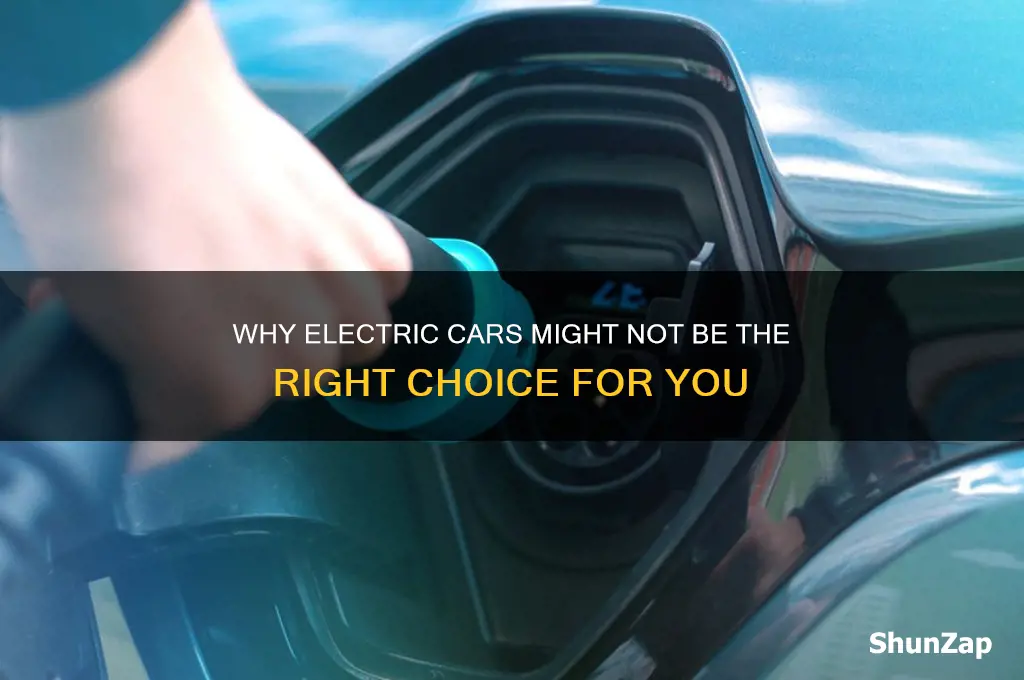 why i should not buy a electric car
