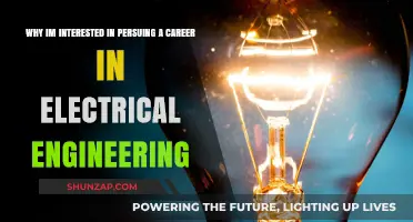Sparking Innovation: My Passion for Electrical Engineering Explained