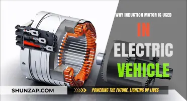 Induction Motors in EVs: Efficiency, Reliability, and Cost-Effective Power