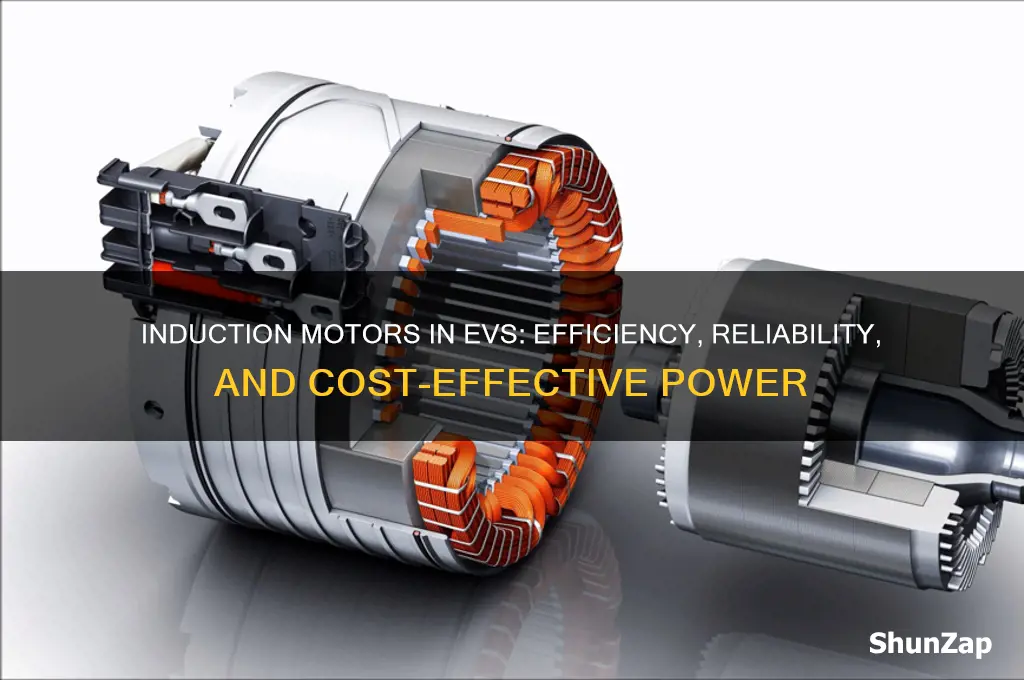 why induction motor is used in electric vehicle