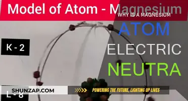 The Magnesium Atom: Why Neutral Charge?