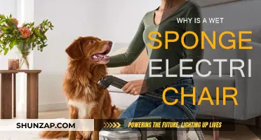 The Wet Sponge Electric Chair: A Shocking Science Experiment