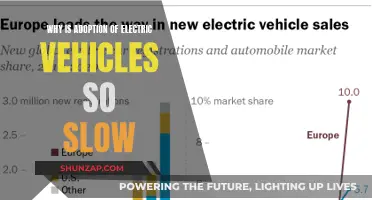 Electric Vehicle Slowdown: Overcoming Barriers to Widespread Adoption