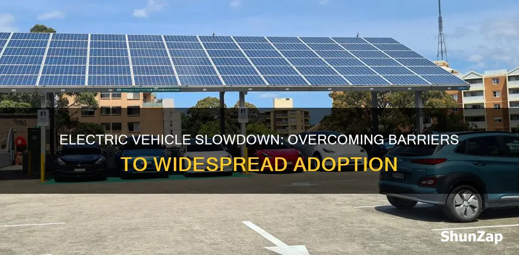 why is adoption of electric vehicles so slow