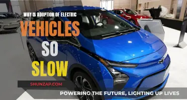 Electric Vehicles: Slow Adoption, What's the Holdup?