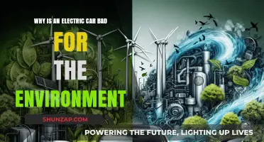 Electric Cars' Hidden Environmental Costs: Myths vs. Reality