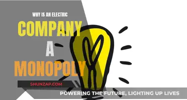 Electric Company Monopoly: Why the Control?