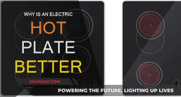 Hot Plates: Electric's Efficiency and Control
