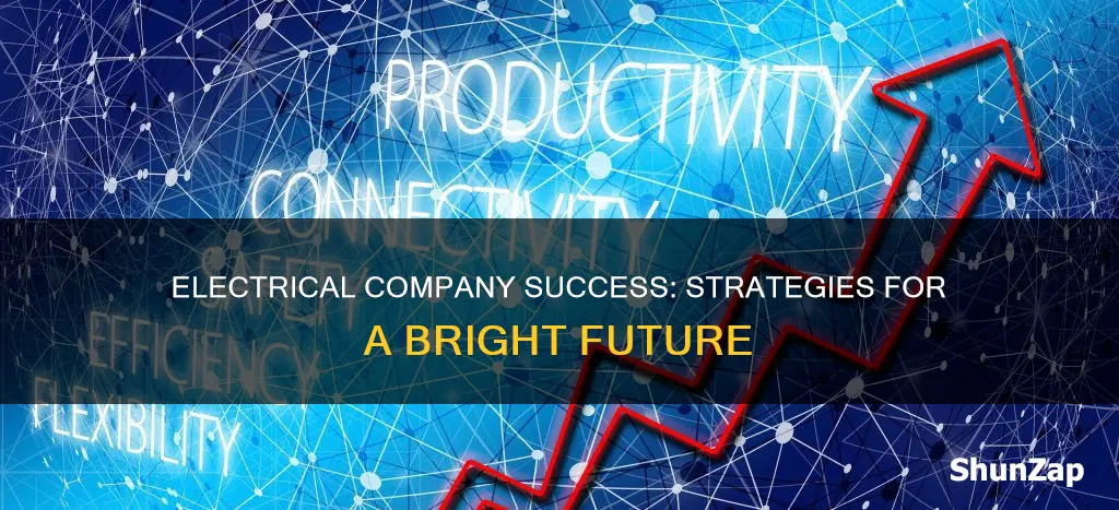 why is an electrical company successful