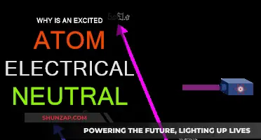 How Excited Atoms Retain Electrical Neutrality