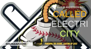 The Electric City: Anderson's Power Story