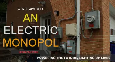 Electric Monopoly: APS's Grip on Power