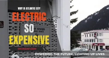Atlantic City Electric: Why the High Cost of Power?
