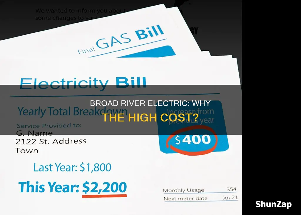 why is broad river electric so expensive