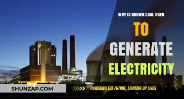 Why Brown Coal Remains a Key Player in Electricity Generation