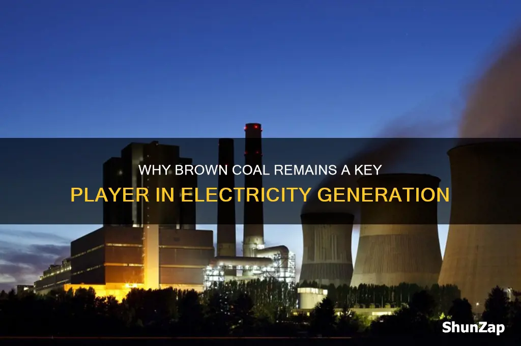 why is brown coal used to generate electricity