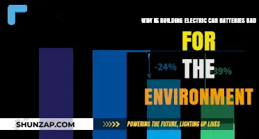 Electric Car Batteries: Environmental Costs of Green Energy Production