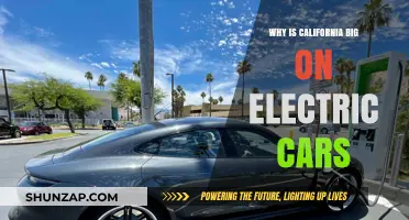 California's Electric Car Revolution: Reasons Behind the Golden State's EV Dominance
