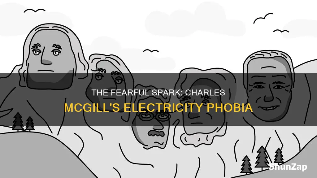 why is charles mcgill afraid of electricity