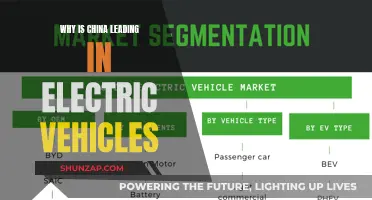 China's Electric Vehicle Revolution: Secrets to Their Success