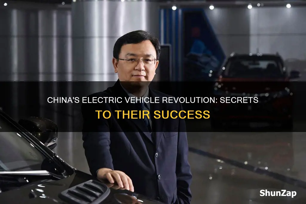 why is china leading in electric vehicles