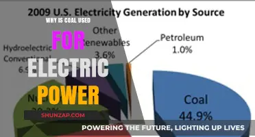 Why Coal Remains a Dominant Fuel Source for Electricity Generation