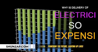 Electricity Delivery: Why the High Cost?