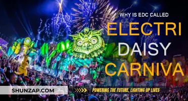 EDC: Electric Daisy Carnival's Electrifying Origin