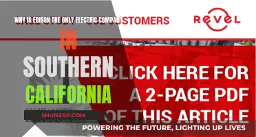 Edison's Monopoly Over Southern California's Electricity Explained