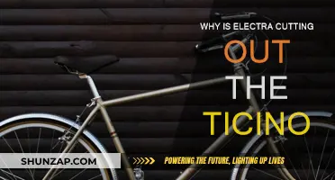 Electra's Ticino Cut: Why and What's Next