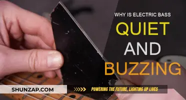 Fixing the Quiet Buzzing of Your Electric Bass