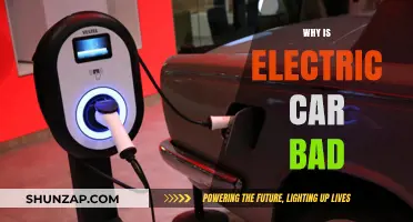 Electric Cars: Uncovering Hidden Drawbacks and Environmental Concerns