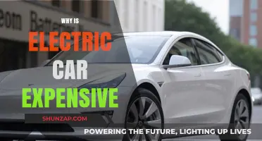 Why Electric Cars Cost More: Unraveling the High Price Tag