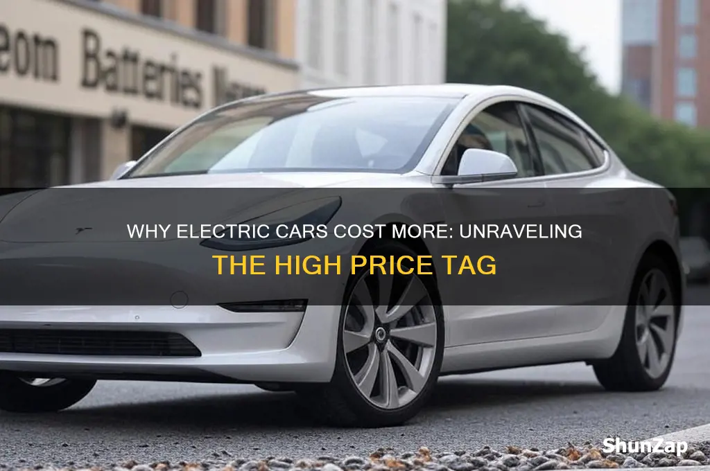 why is electric car expensive