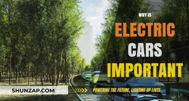 Electric Cars: Driving a Sustainable Future for Our Planet