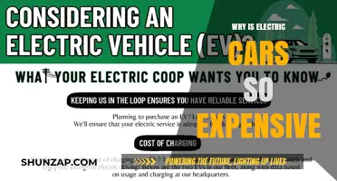 Why Electric Cars Cost More: Unraveling the High Price Tag