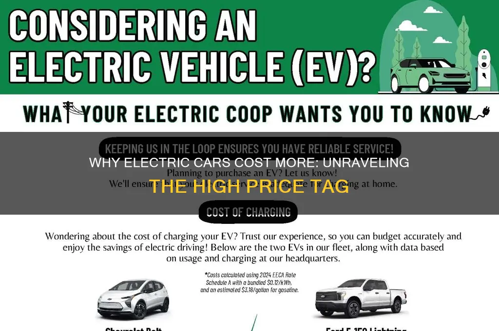 why is electric cars so expensive
