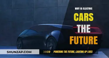 Electric Cars: The Sustainable, Efficient Future of Transportation