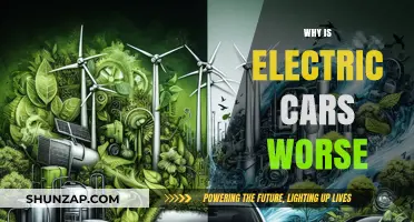 Electric Cars: Hidden Costs and Environmental Concerns Revealed