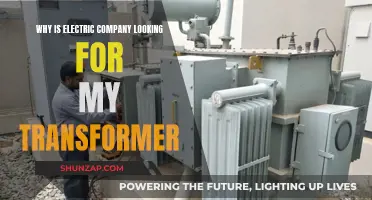 Electric Company Transformer Hunt: Why Your Transformer is Wanted