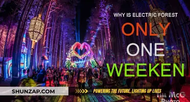 Electric Forest's Weekend: A Magical Experience