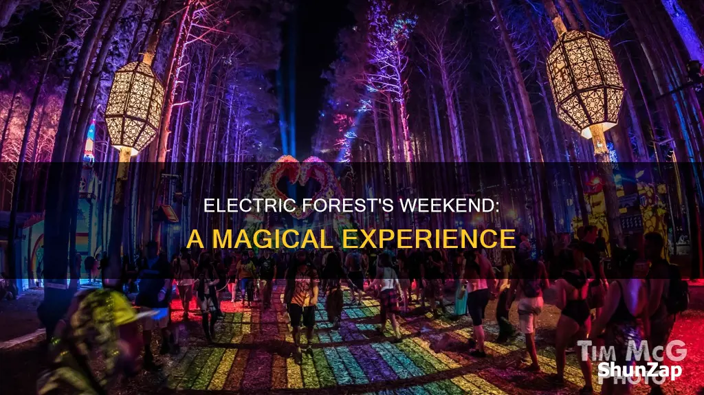 why is electric forest only one weekend