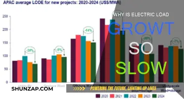 Electric Load Growth Slows: What's Behind This Trend?