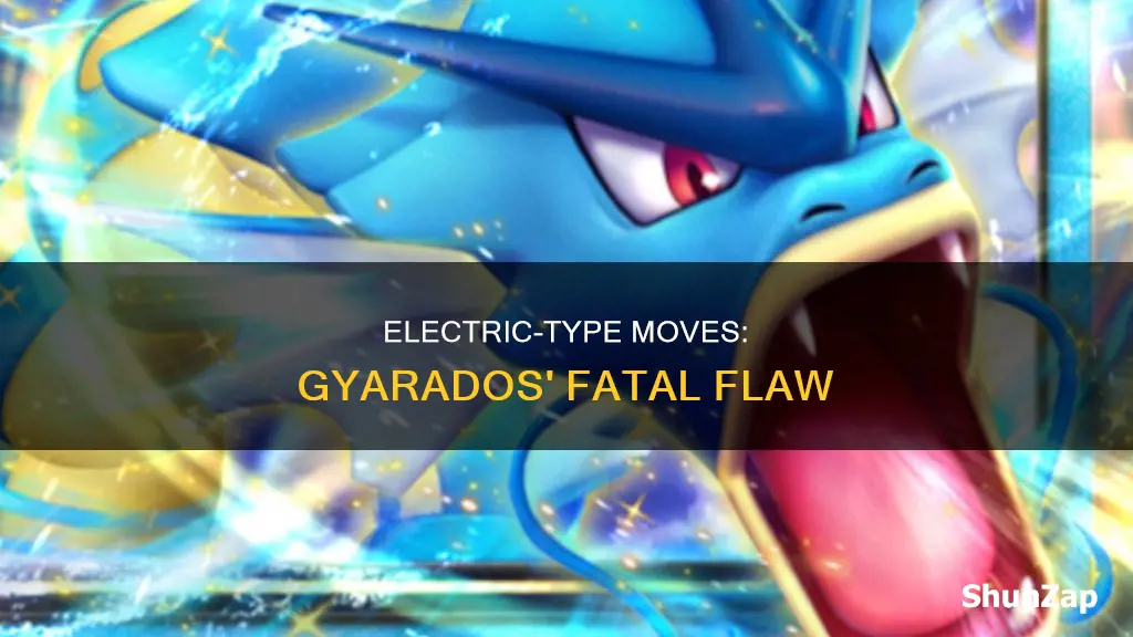 why is electric normal effective vs gyarados