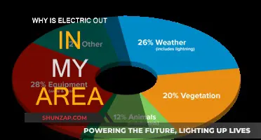 Electricity Outage: What's the Reason Behind It?