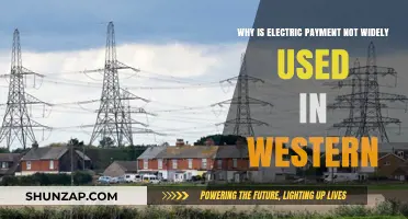 Why Western Countries Resist Electric Payment Adoption: Key Barriers Explained