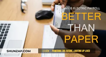 Electric Payroll: Efficient, Secure, and Eco-friendly