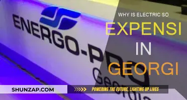Electricity Costs in Georgia: Why So High?