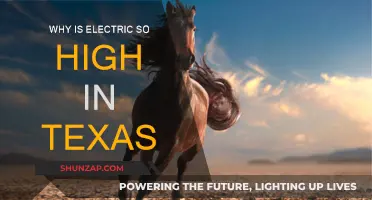 Texas Electricity Crisis: Why the Lone Star State Pays More