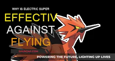 Electricity and Flying: A Dangerous Combination